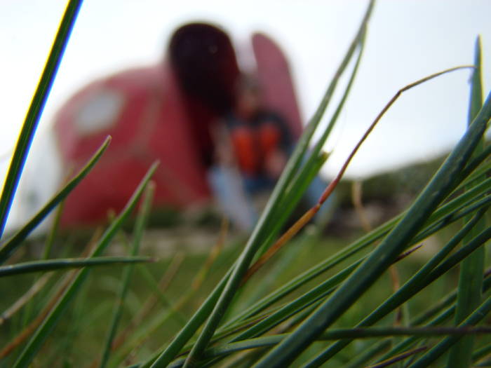 DSC03814 - Concediu 2009