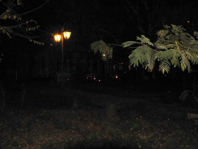 P1010837 - 2008 poze mai religioase