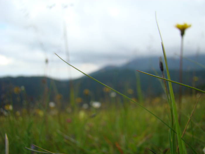 DSC03916 - Concediu 2009