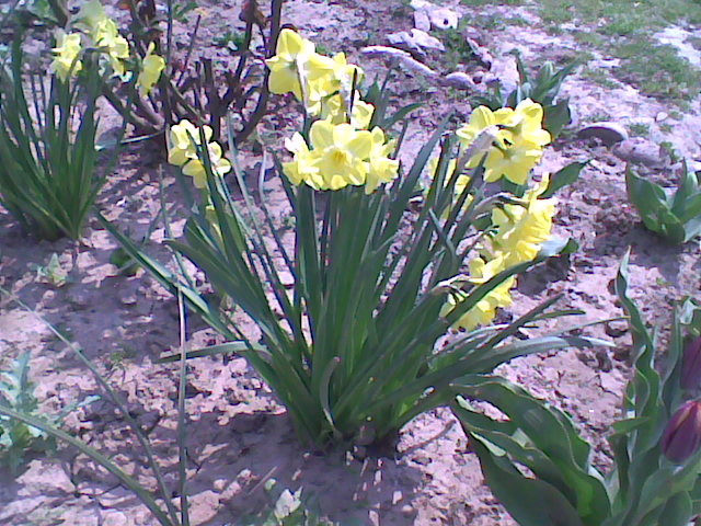 Imag065