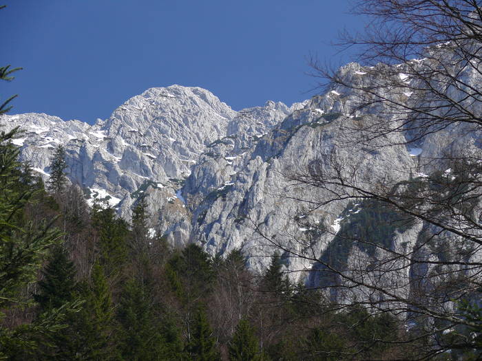 P1050182 - 2009_Piatra_Craiului