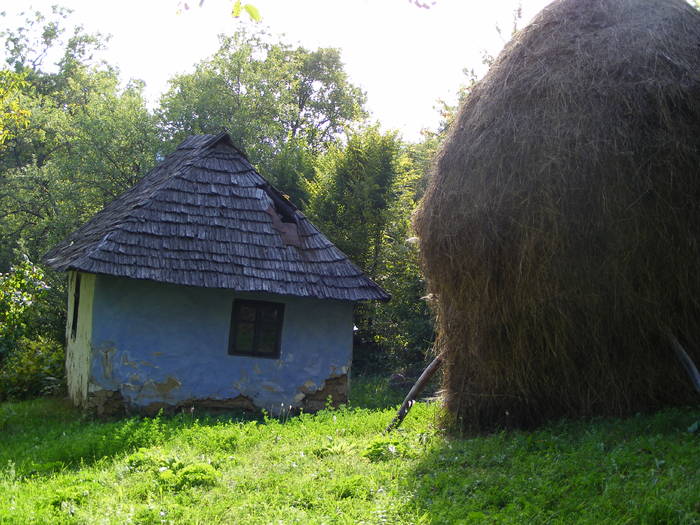 DSCF0450