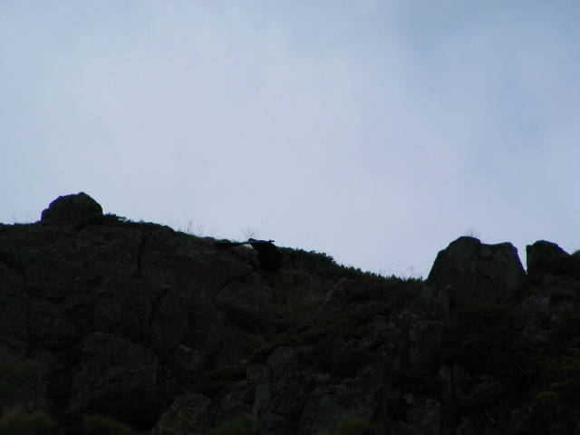 DSCF3070