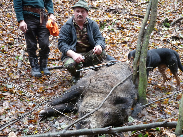P1210699 - 2009-2010 Stolna Cluj