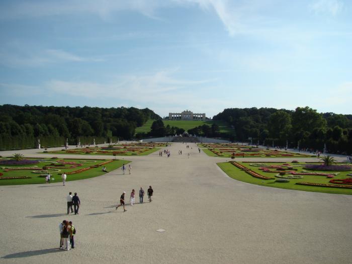 DSC05997 - Viena august 2008