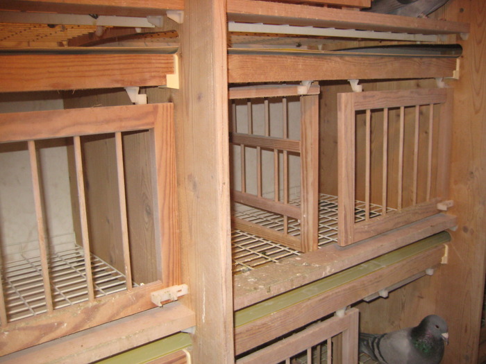 Boxele noi cu banda transportoare pentru curatirea dejectiilor.