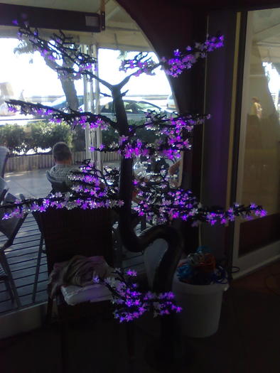 Imagine1312 - ApiMondia