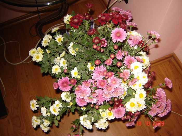 DSC02750