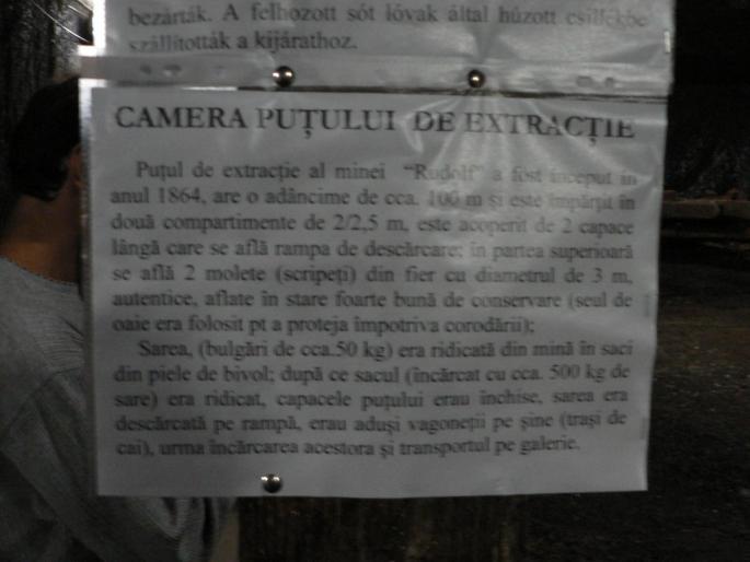 P101003