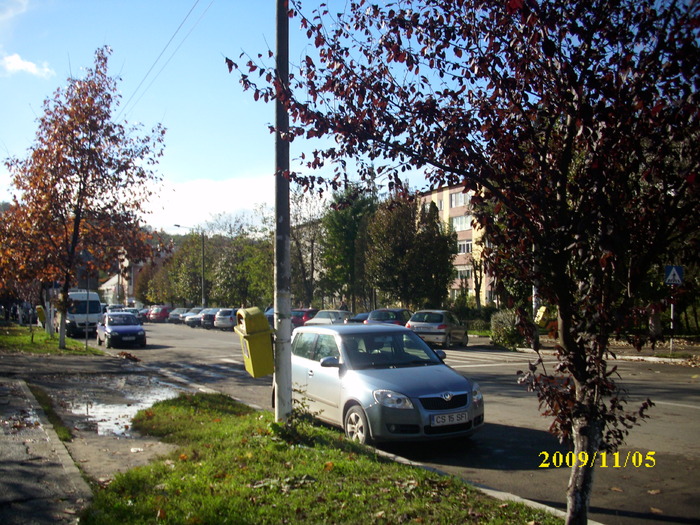 DSCI2284