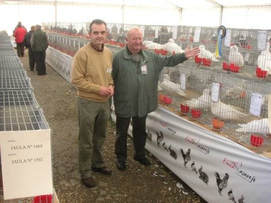 exposicion castropol 2008-asturias - X-TODAS LAS RASAS DE PALOMAS EN EL MUNDO