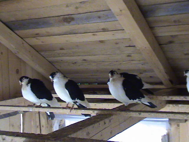 DSC01635
