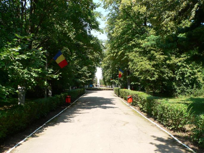 P101008