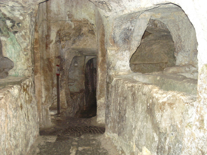DSC04488