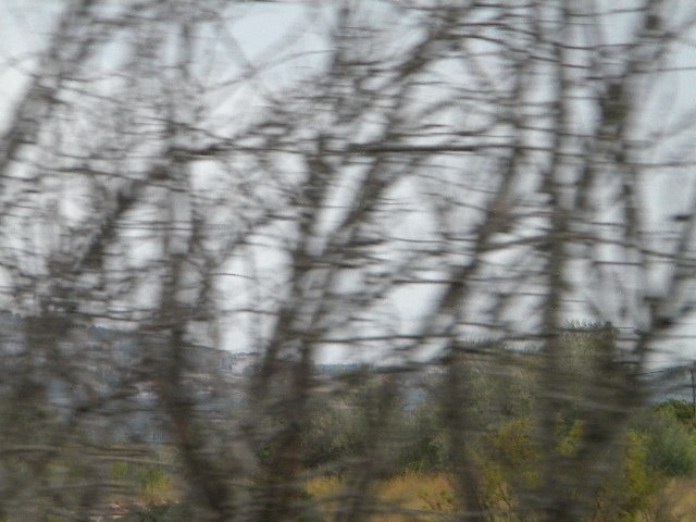 DSCN1592