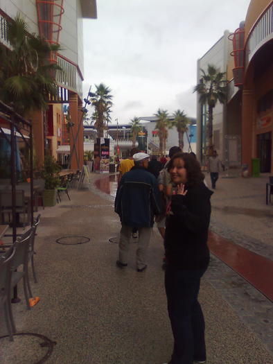 Imagine1181 - ApiMondia