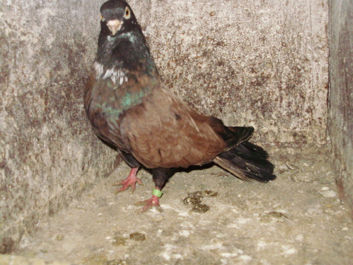 P9061580