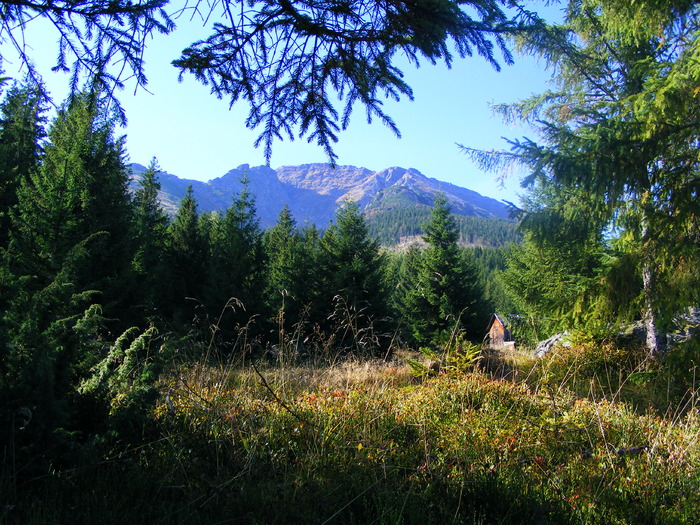 DSCF6444 - muntii Rodnei