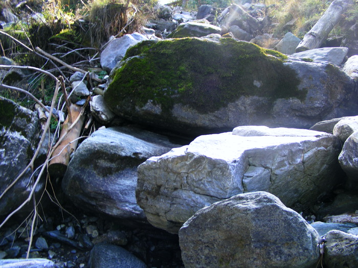 DSCF6334 - muntii Rodnei