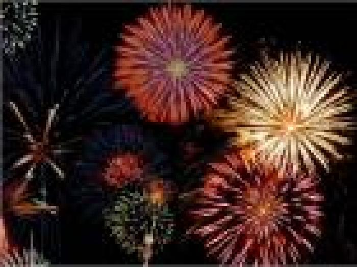 fireworks_thumb
