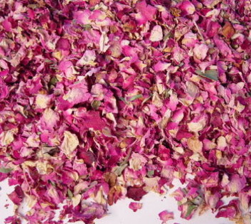 rose_pink