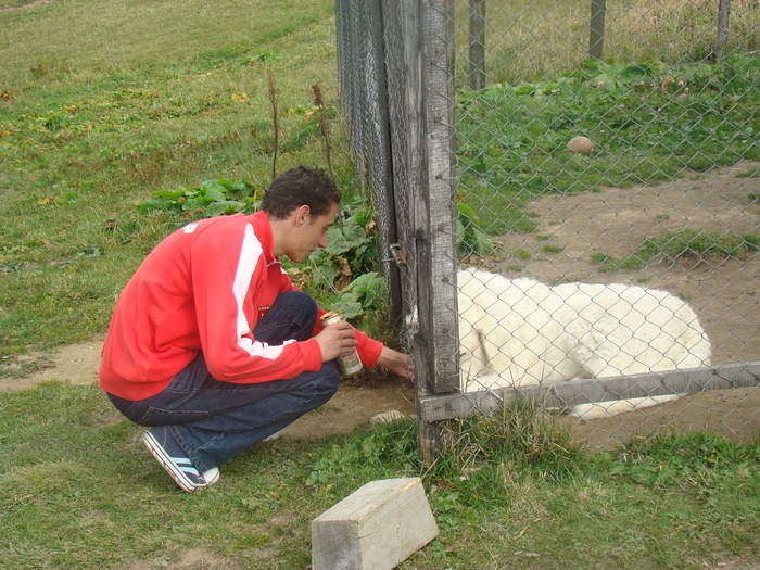 DSC00356