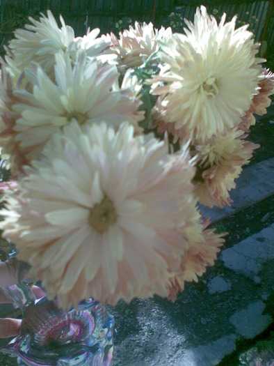 tufanele - florile surorii mele