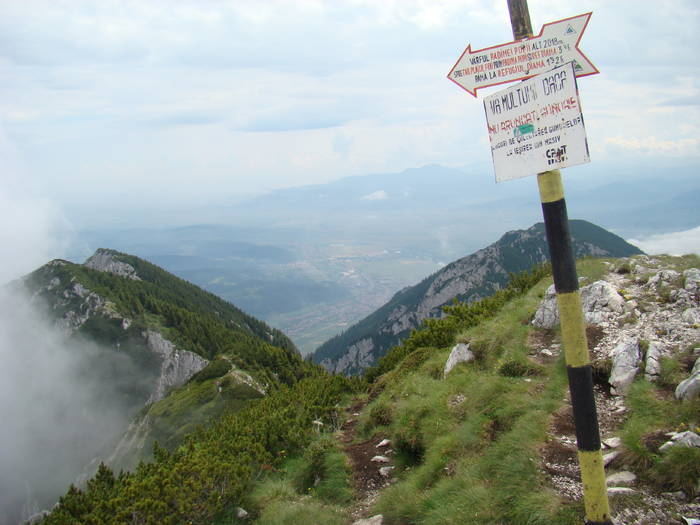 DSC03794 - Concediu 2009