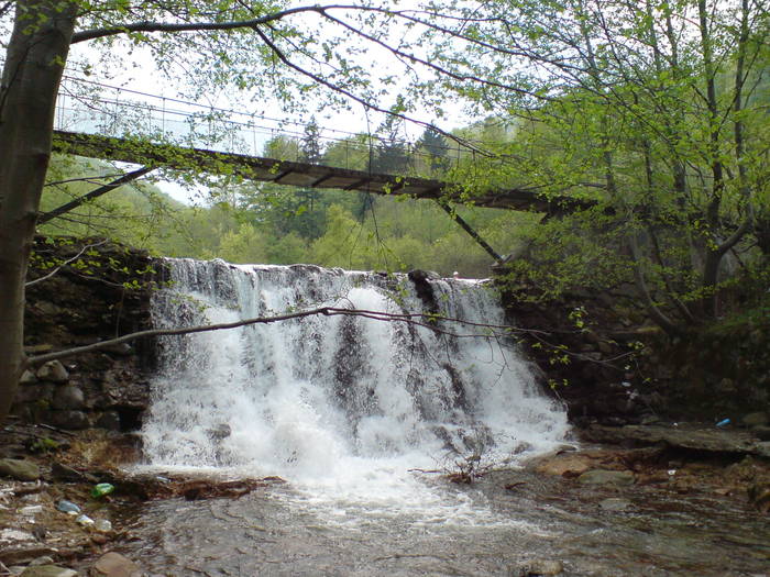 DSC01115