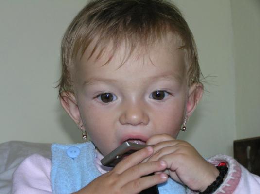 Picture 063