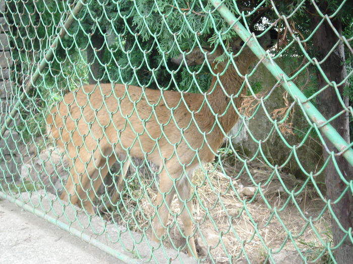Picture 337