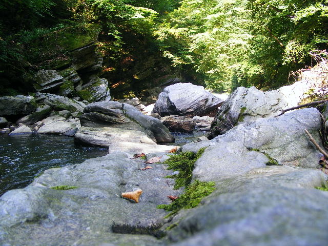 DSCF5272