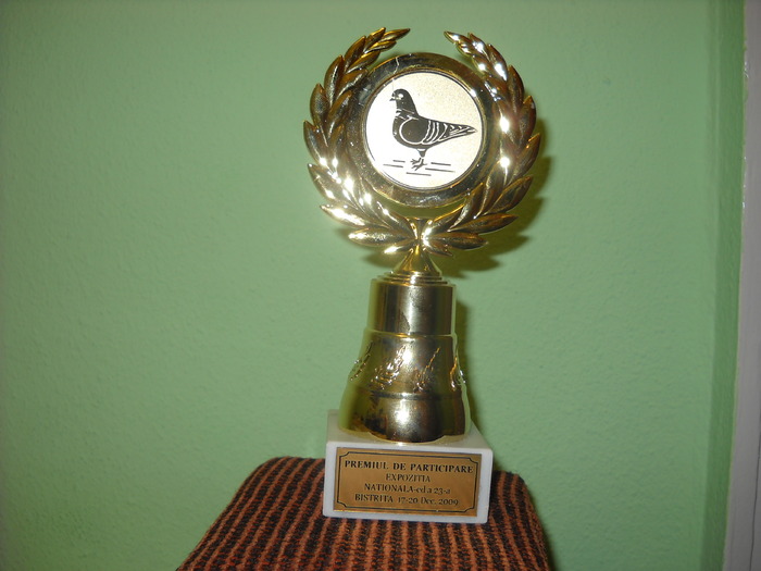 Placheta de participare Bistrita 2009