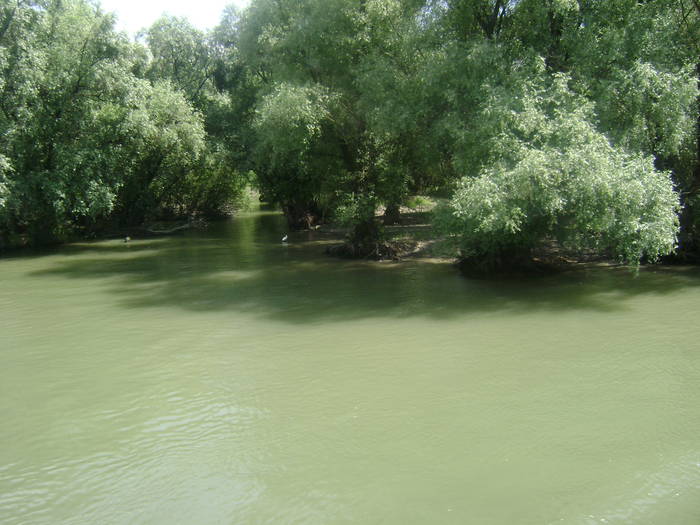 excursie delta dunarii 5062009 079 - EXCURSIE  in DELTA