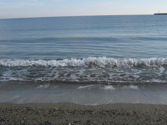 IMG_0035 - 08-01-2007