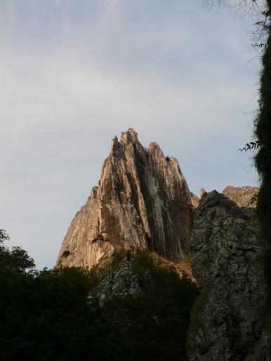 P100090