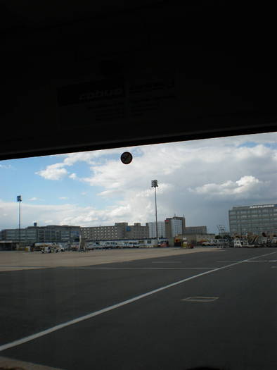P7030210 - vedere din avion si terminal Paris