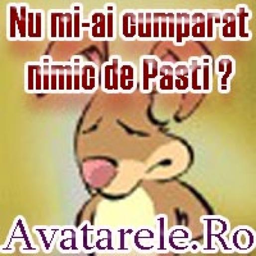 37 - avatare animale