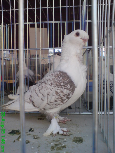 DSC05192