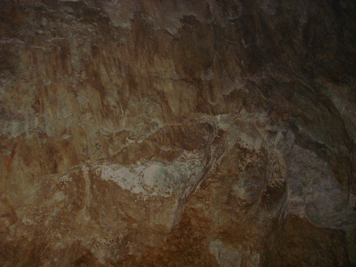 DSC04564