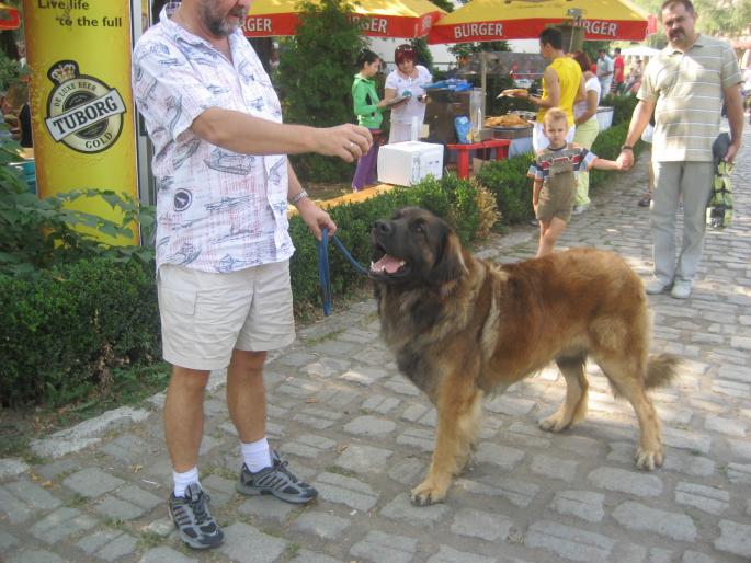 IMG_3337 - EXPO Tg Mures 2008