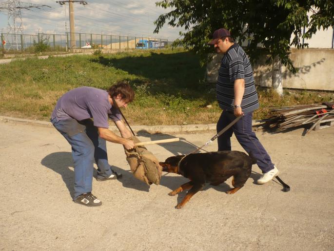 TYRA V HAUSE ONUL(CORA); PRIZA PRIN RASUCIRE.
