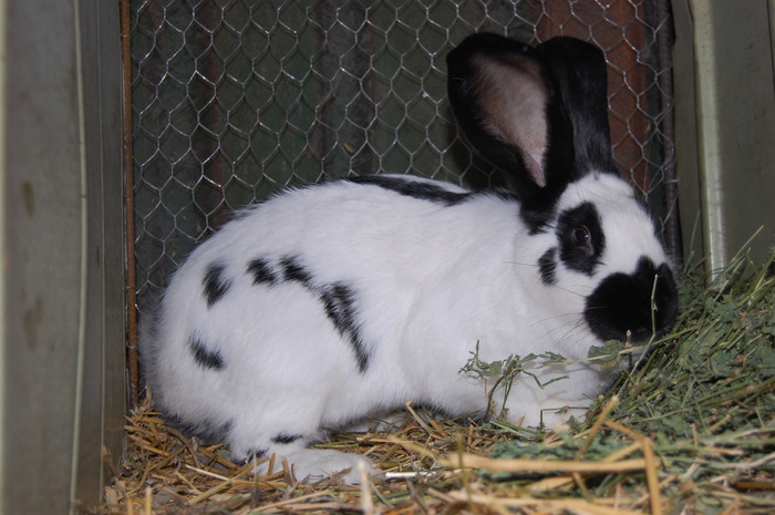 FETITA-5LUNI SI 1 SAPTAMANA