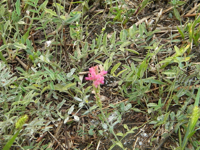 DSCN0275