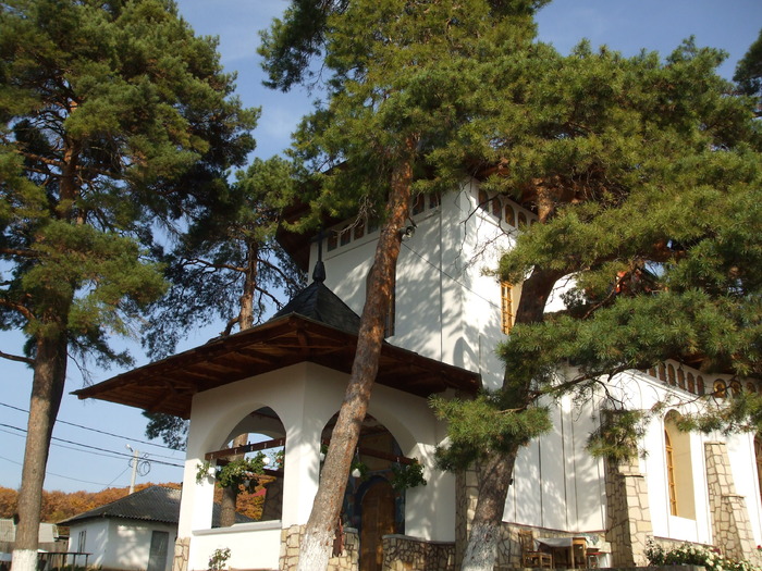 intrarea - Manastirea Magaru-Vaslui