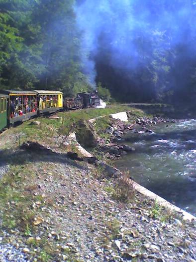 Trenulet cu turisti-Valea Vaser - Turism si drumetii