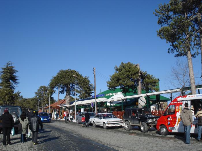 Picture 752; Troodos
