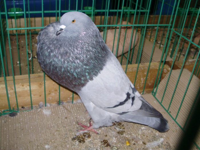 8373 h 1