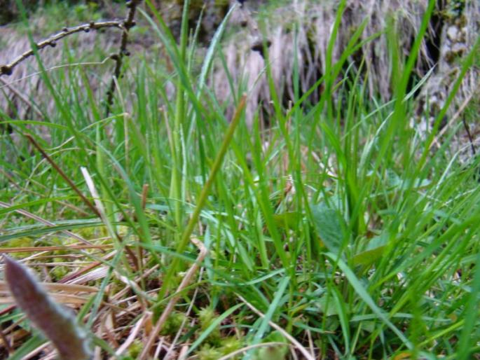 DSC04180 - 2008-05-18 - Teambuilding la Pestera