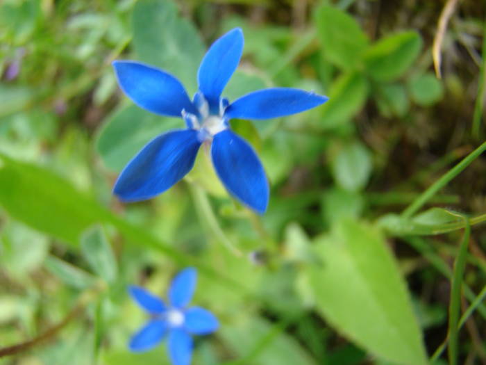 DSC03892 - Concediu 2009